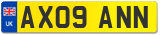AX09 ANN