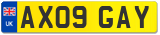 AX09 GAY