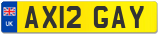 AX12 GAY