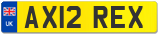 AX12 REX