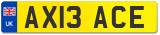 AX13 ACE