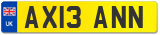 AX13 ANN