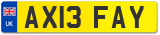 AX13 FAY