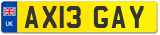 AX13 GAY