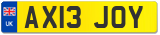 AX13 JOY