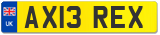 AX13 REX