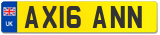 AX16 ANN