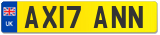 AX17 ANN