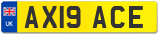 AX19 ACE