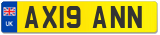 AX19 ANN