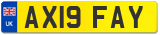 AX19 FAY