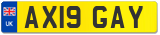 AX19 GAY