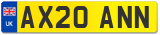AX20 ANN