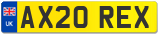 AX20 REX