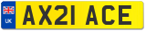 AX21 ACE