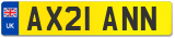 AX21 ANN