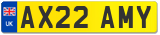 AX22 AMY