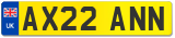AX22 ANN