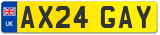 AX24 GAY