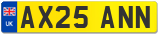 AX25 ANN