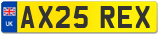 AX25 REX