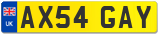 AX54 GAY