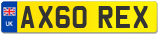 AX60 REX