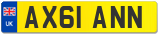 AX61 ANN