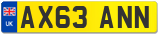 AX63 ANN