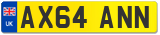 AX64 ANN