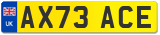 AX73 ACE