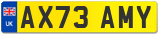 AX73 AMY