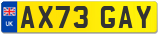 AX73 GAY