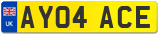 AY04 ACE