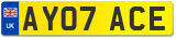 AY07 ACE