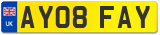 AY08 FAY