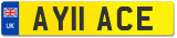 AY11 ACE