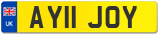 AY11 JOY