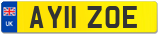 AY11 ZOE