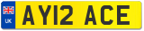 AY12 ACE