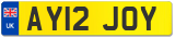 AY12 JOY