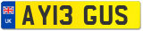 AY13 GUS