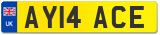 AY14 ACE