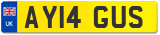 AY14 GUS