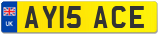 AY15 ACE