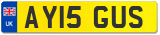 AY15 GUS