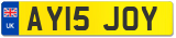 AY15 JOY