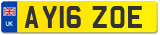 AY16 ZOE