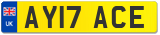 AY17 ACE