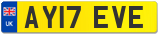 AY17 EVE